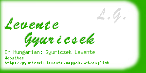 levente gyuricsek business card